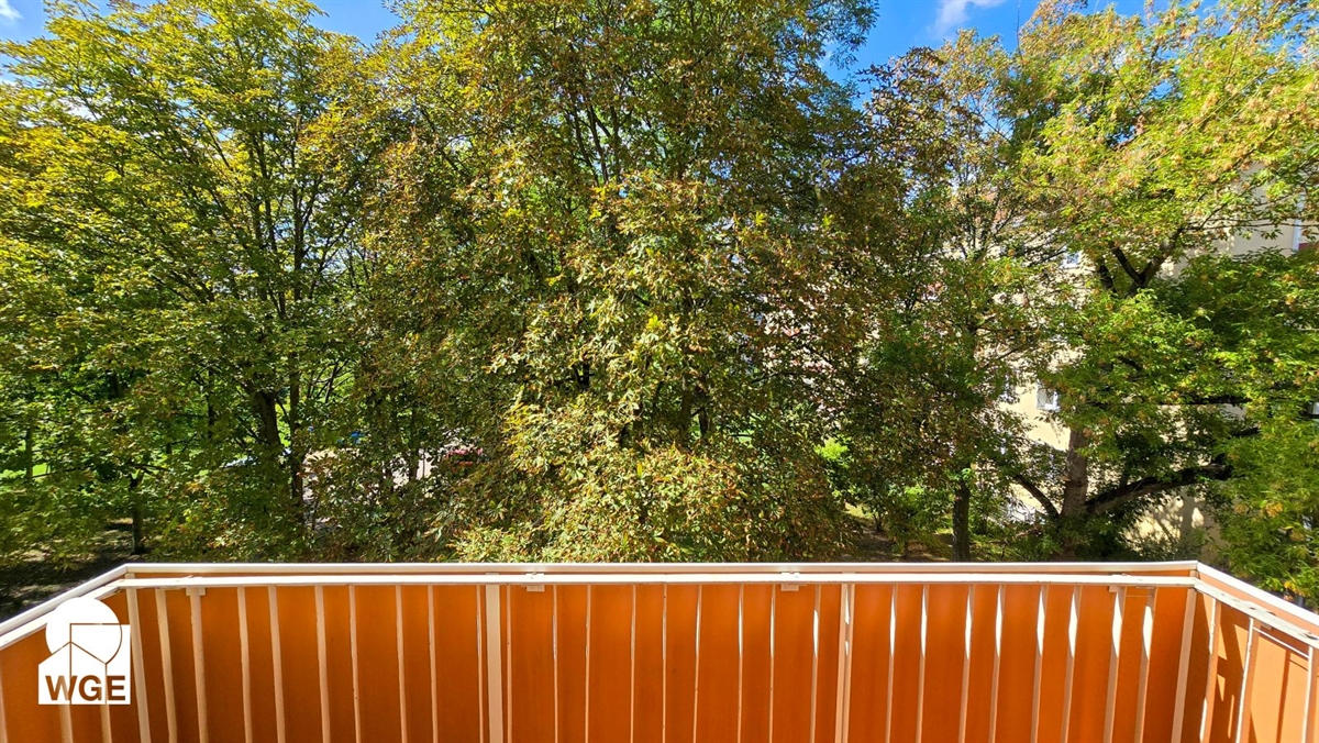 Schöne 2 Raum Wohnung mit Balkon! - Foto 3